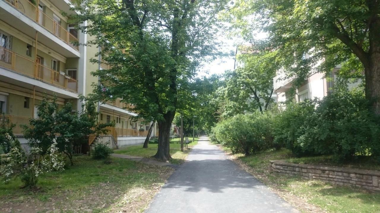 Koroesi Apartman Pécs Buitenkant foto